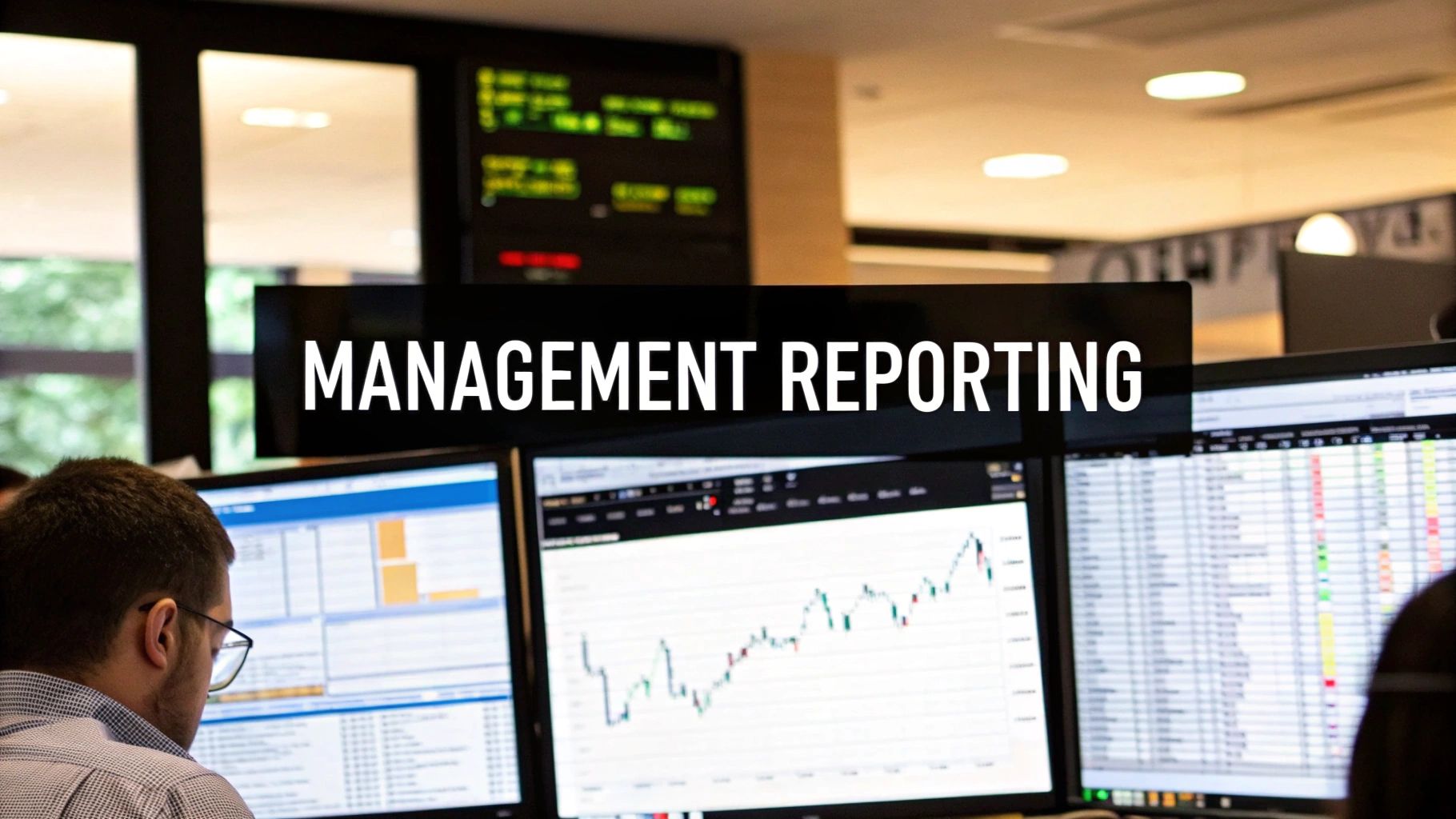 What Is Management Reporting? A Founder’s Guide to Insight-Led Decisions